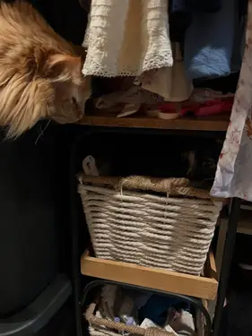 Fanny - annonce trans à Sèvremoine